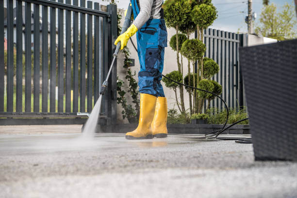 Best Residential Pressure Washing Services  in Bodfish, CA