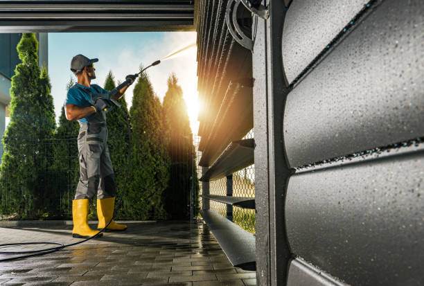 Best House Pressure Washing  in Bodfish, CA