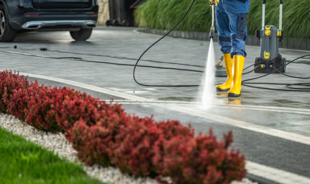 Best House Pressure Washing  in Bodfish, CA