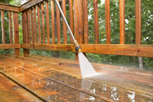 Best Pressure Washing Siding  in Bodfish, CA