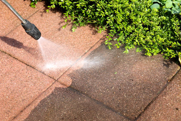 Best Affordable Pressure Washing  in Bodfish, CA