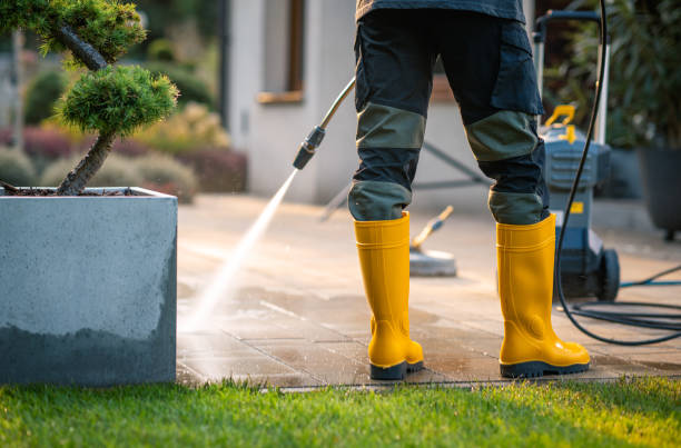 Best Power Washing Near Me  in Bodfish, CA